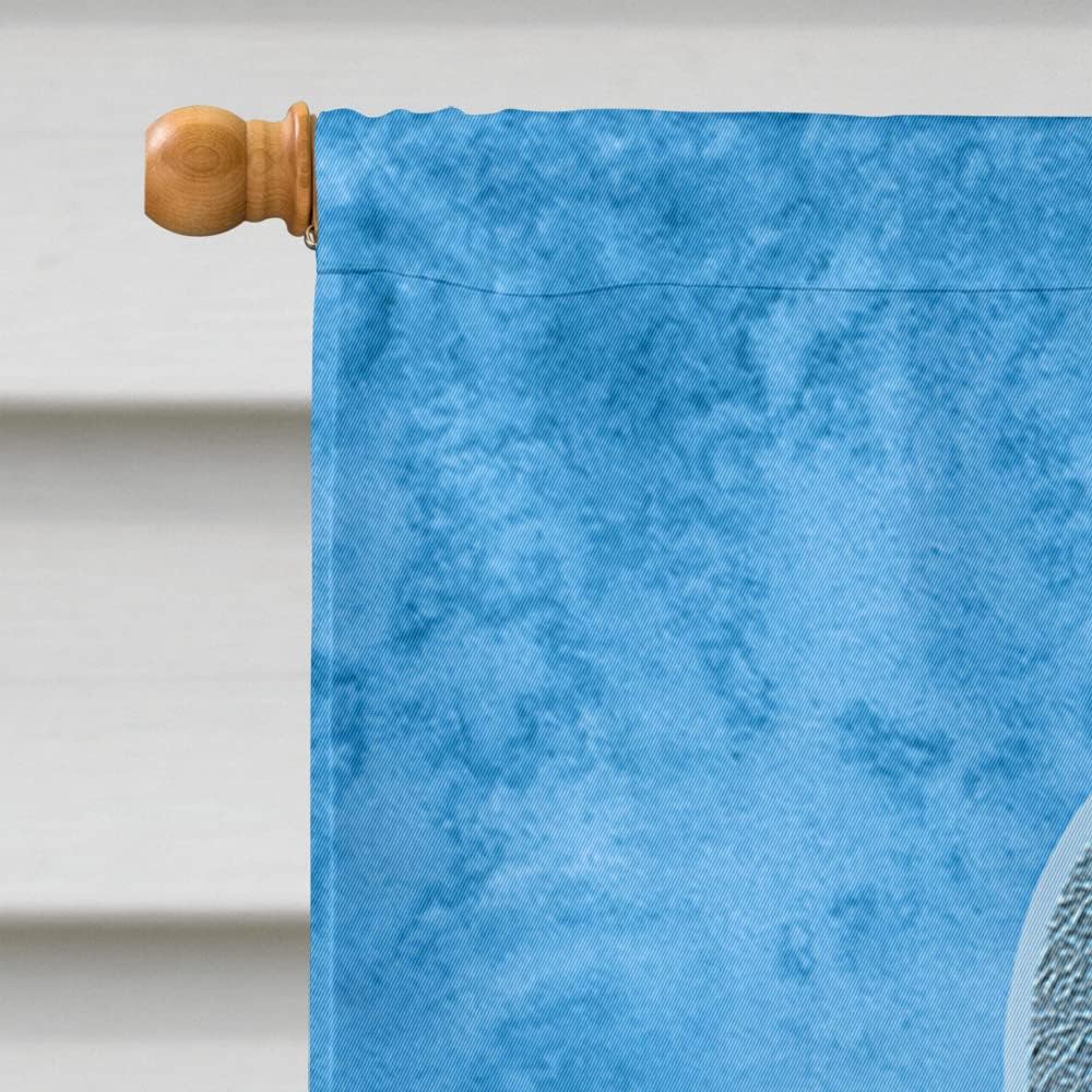 Caroline's Treasures AN1206CHF Blue Ribbon for Prostate Cancer Awareness House Flag Large Porch Sleeve Pole Decorative Outside Yard Banner Artwork Wall Hanging, Polyester, House Size, Multicolor