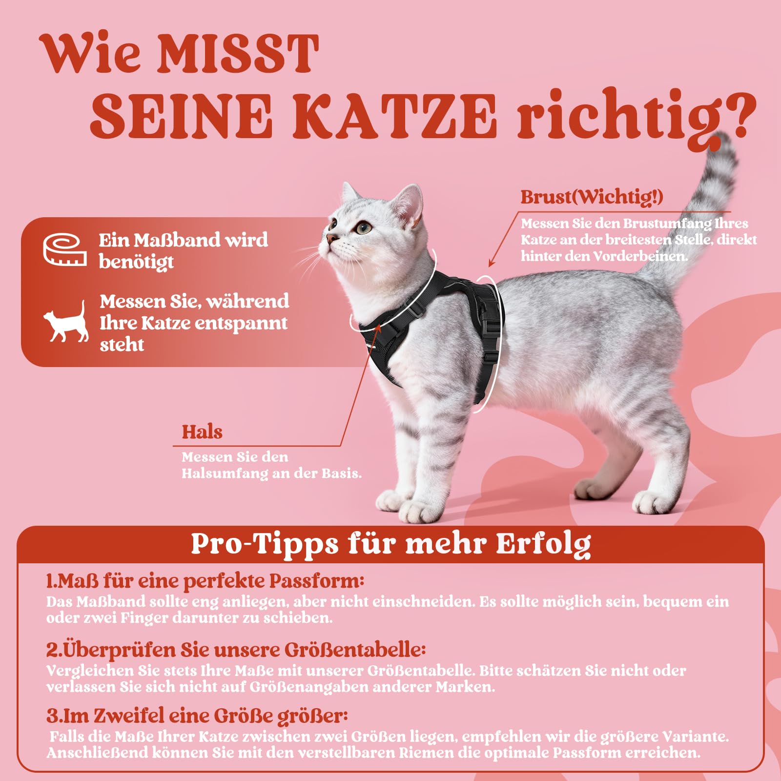 rabbitgoo Katzengeschirr mit Leine Schwarz Softgeschirr für Katze Brustgeschirr Cat Harness Katzengarnitur ausbruchsicher verstellbar Katzenweste Schwarz M - 2