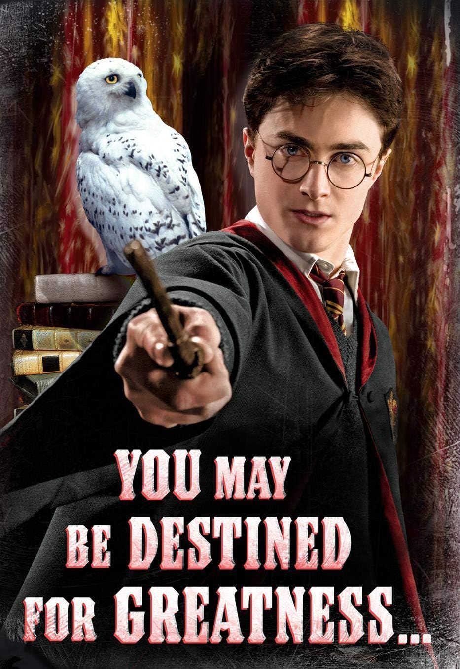 Harry Potter Geburtstagskarte mit Aufschrift "You May Be Destined for