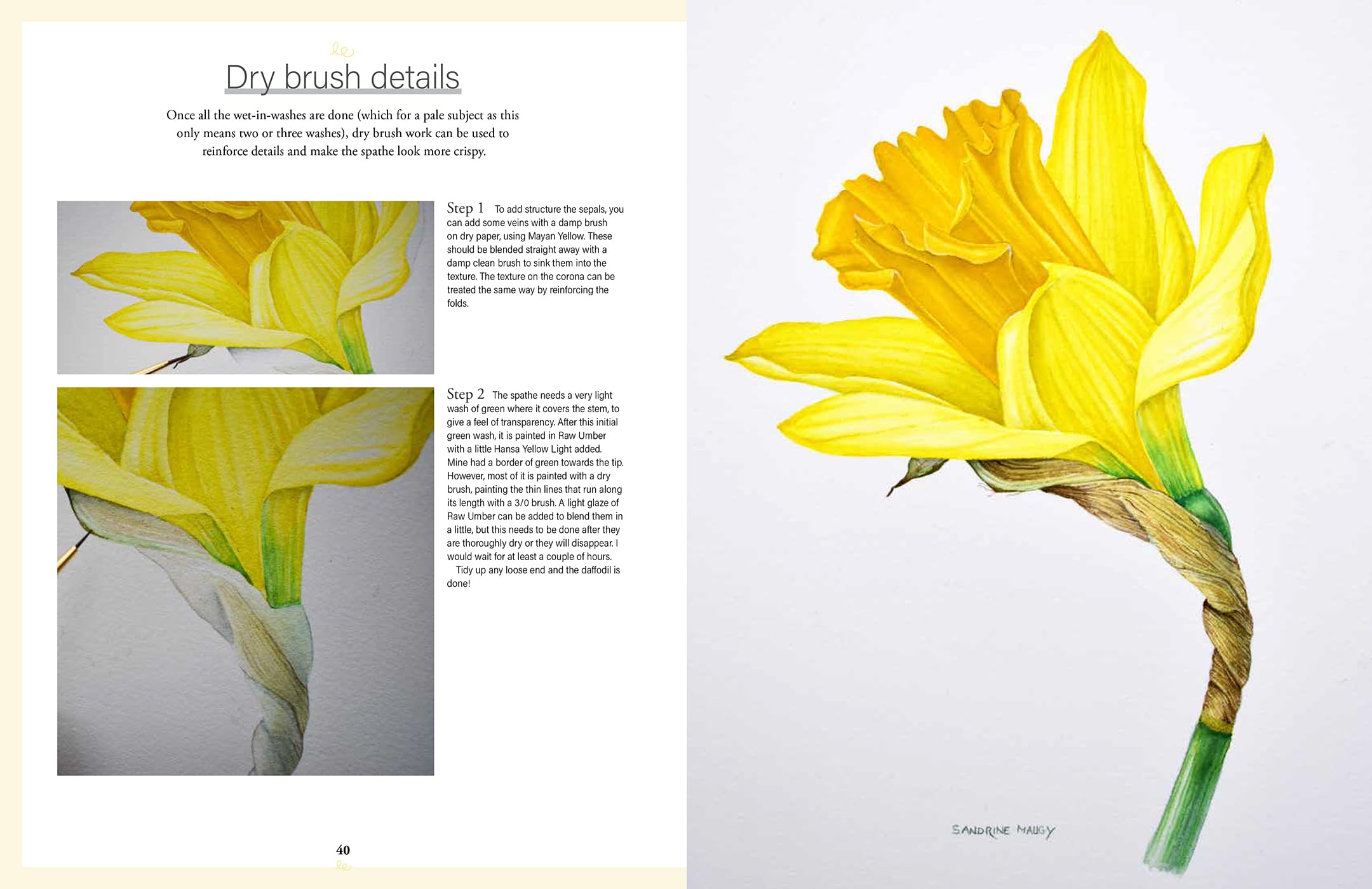 Botanical Watercolours through the seasons: An All-year-round Guide to Painting Flowers and Plants