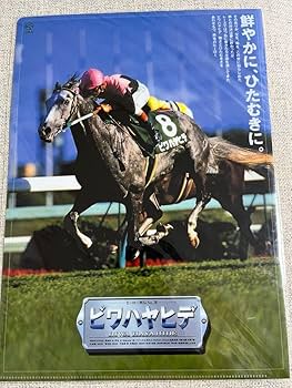【非売品】JRA ヒーロー列伝 クリアファイル　4枚セット 値下げ JRA ヒーロー列伝クリアファイル ニッポーテイオー