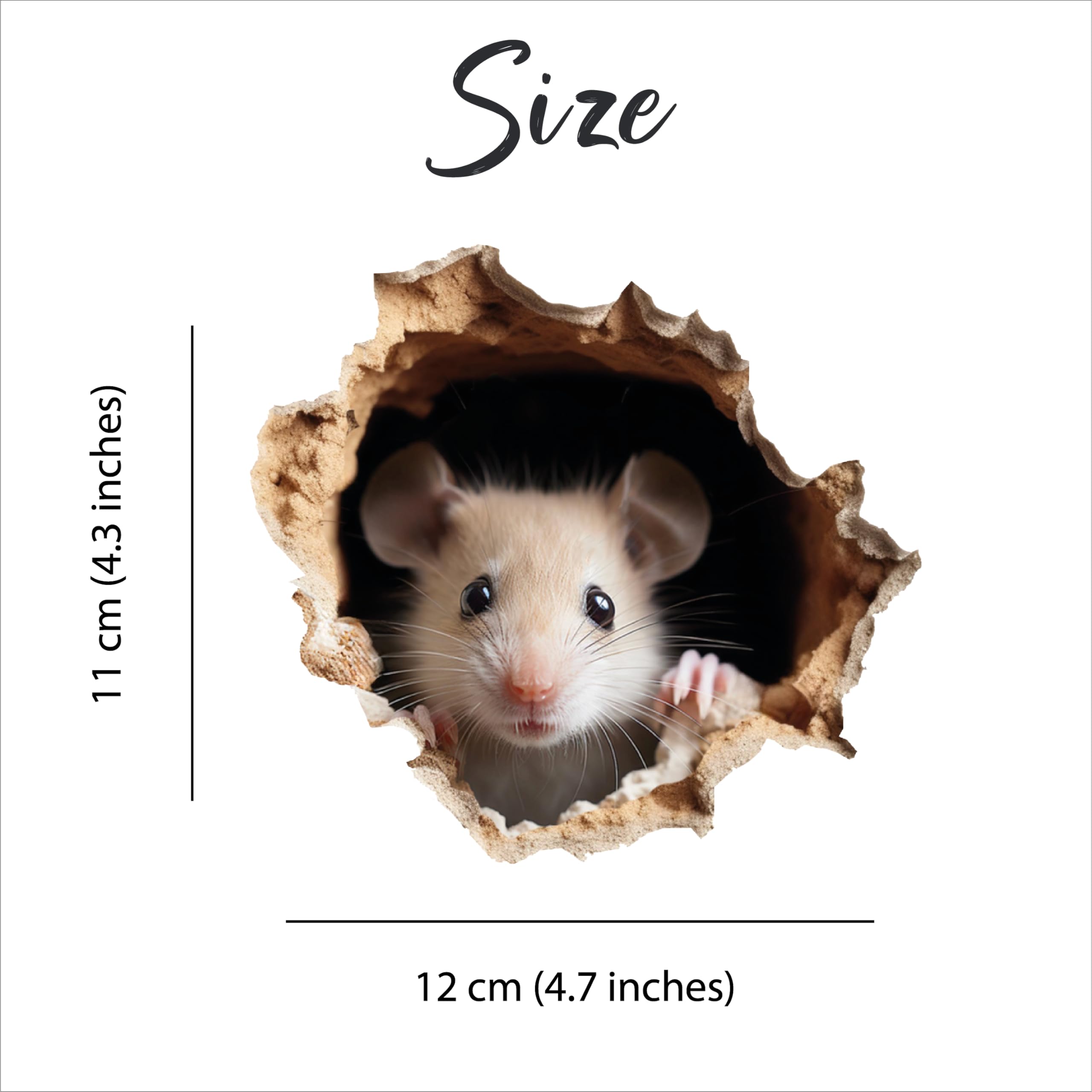 View 5
