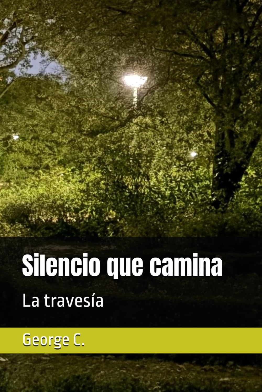 Silencio que camina: La travesía (Silence)