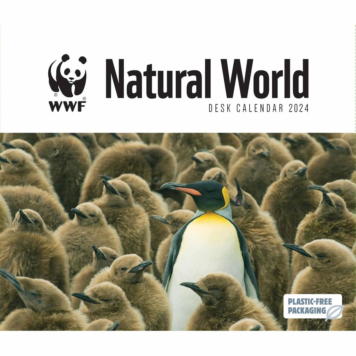 amazon-com-wwf-natural-world-weltnaturerbe-2024-original-carousel-tagesabrei-kalender-kalendar-office-products