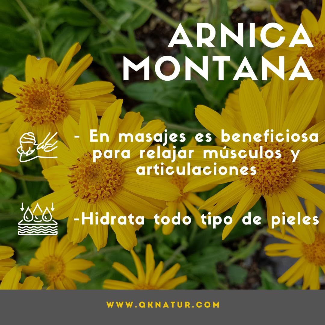 QKnatur - Aceite para masaje con extracto de Arnica, Calendula y Hamamelis (250 ml) - Ideal para masajes en musculos, espalda, hombro, pies, rodilla, contracturas - Rápida Absorción