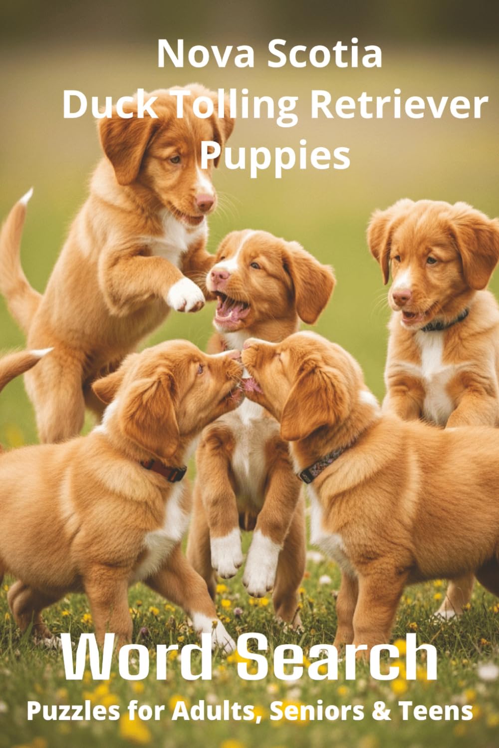 Words About Nova Scotia Duck Tolling Retriever Puppies Word Search Puzzles: Easy-to-Read Word Searches About Nova Scotia Duck Tolling Retriever ... Pages – A Pawsome Gift for Pet Lovers, Vacat