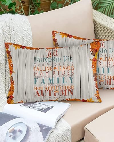 Miniatura 6 de applebless 2 Packs Throw Pillow Covers Rectangle 20" x 12", Pumpkin Autumn Thanksgiving Waterproof Couch Cushion Cover for Sofa Bedroom Living Room