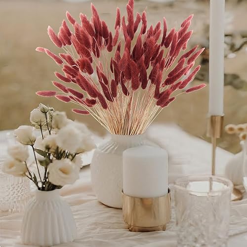 Miniatura 3 de CISDUEO 120 piezas de flores secas de cola de conejo, flores secas de lagurus ovatus, hierba de las pampas, rojo y marrón, arreglo floral seco