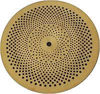 Vista 2 de Arborea - Platillo Splash de Bajo Volumen de 10 Pulgadas Dorado para Práctica de Set de Batería