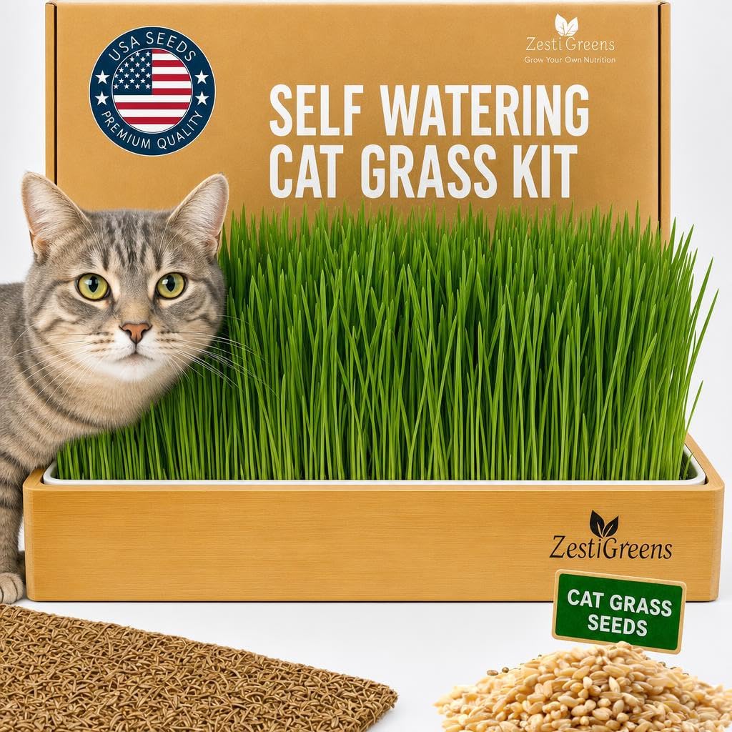 Cat Grass for Indoor Cats - Self-Watering Cat Grass Planter Kit | Reusable no-soil self-watering planter grows fresh cat grass in 5 days with USA premium seeds.
