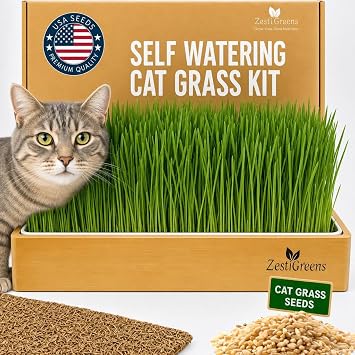 Cat Grass for Indoor Cats - Self-Watering Cat Grass Planter Kit