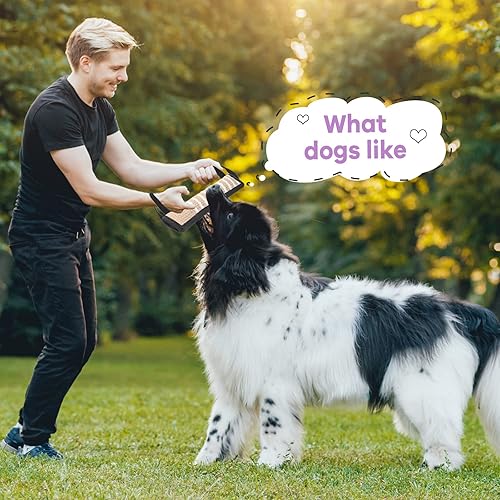 Miniatura 6 de Kacctyen 4 piezas de juguete de remolcador para perros, almohada de entrenamiento para mordedura de perro de yute resistente con 2 asas, equipo de