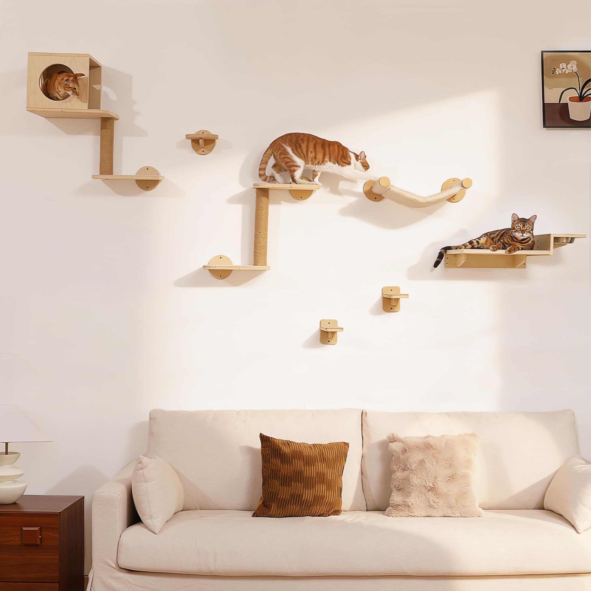 FUKUMARU Mensole per Gatti a Parete 3 in 1, Set con Stazione Alimentare e 2 Gradini, Mensola in Legno Massello, Spazio Risparmiato, Sicuro e Resistente, Adatto per Gioco e Riposo.