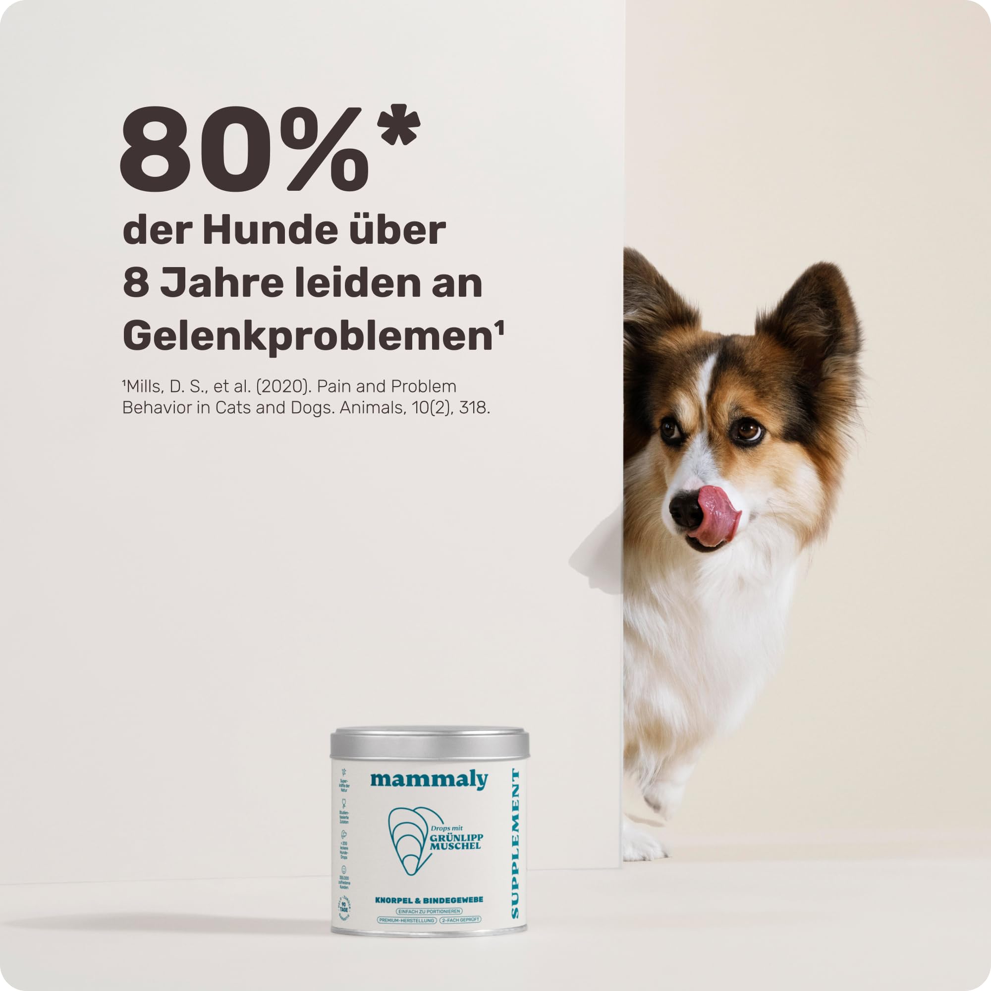Grünlippmuschel Hund die Gelenktabletten von mammaly - ca. 200 Snacks für Hunde (340g) - Kann positiven Beitrag bei Arthrose leisten - Alternative zu Tabletten, Kapseln & Grünlippmuschelpulver