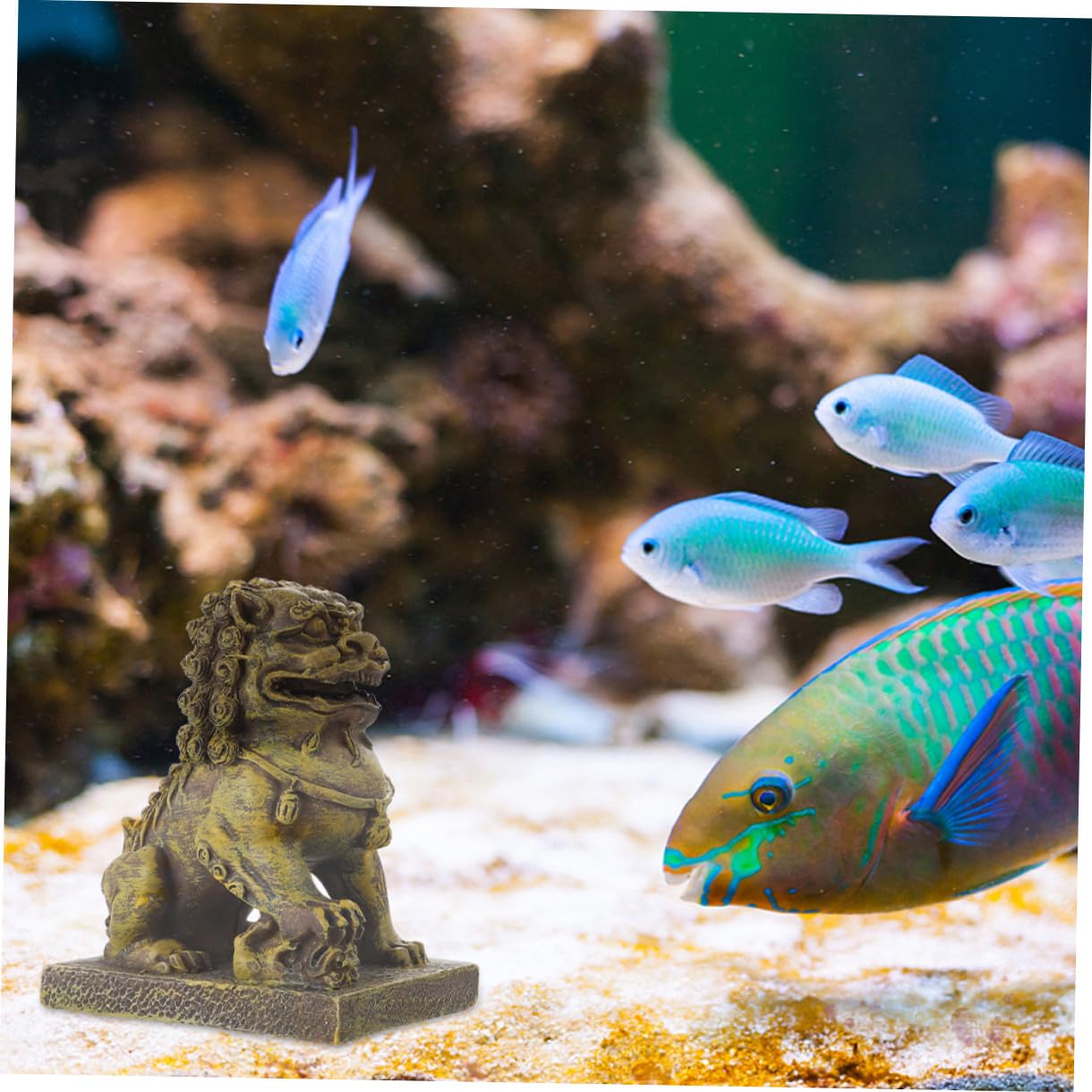VANZACK 2pezzi Decorazione per Acquario Scultura di Leone Realistica da Ornamenti per Ambienti Zen e Pesci Simbolo di e Prosperità