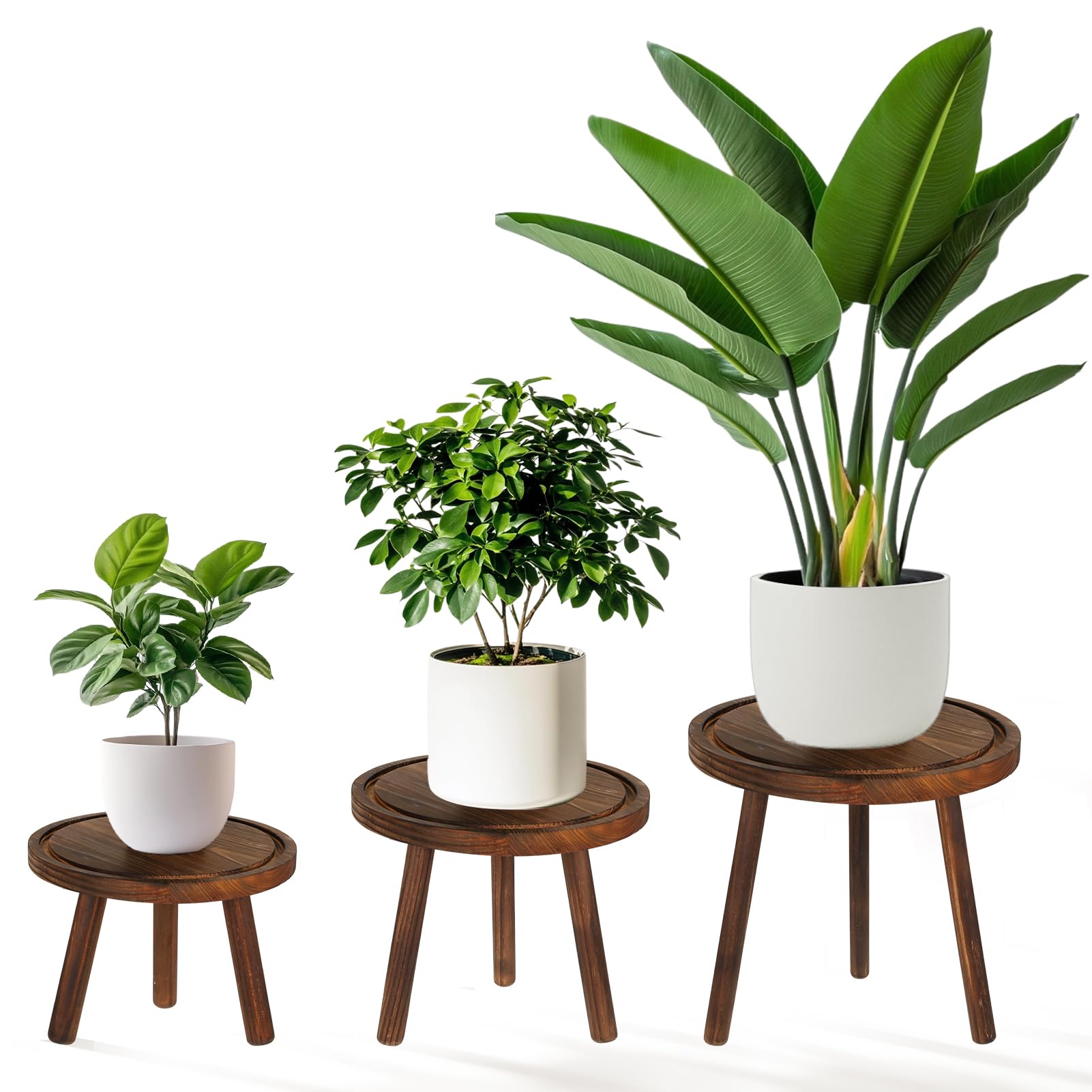 Rainmae 3 Pack Wood Plant Stands Indoor, Single Plant Stand for 6-12 Inch Pots, Mid-Century Modern Plant Stool, Tall Plant Stand for Large Plants for Living Room, Balcony, Office