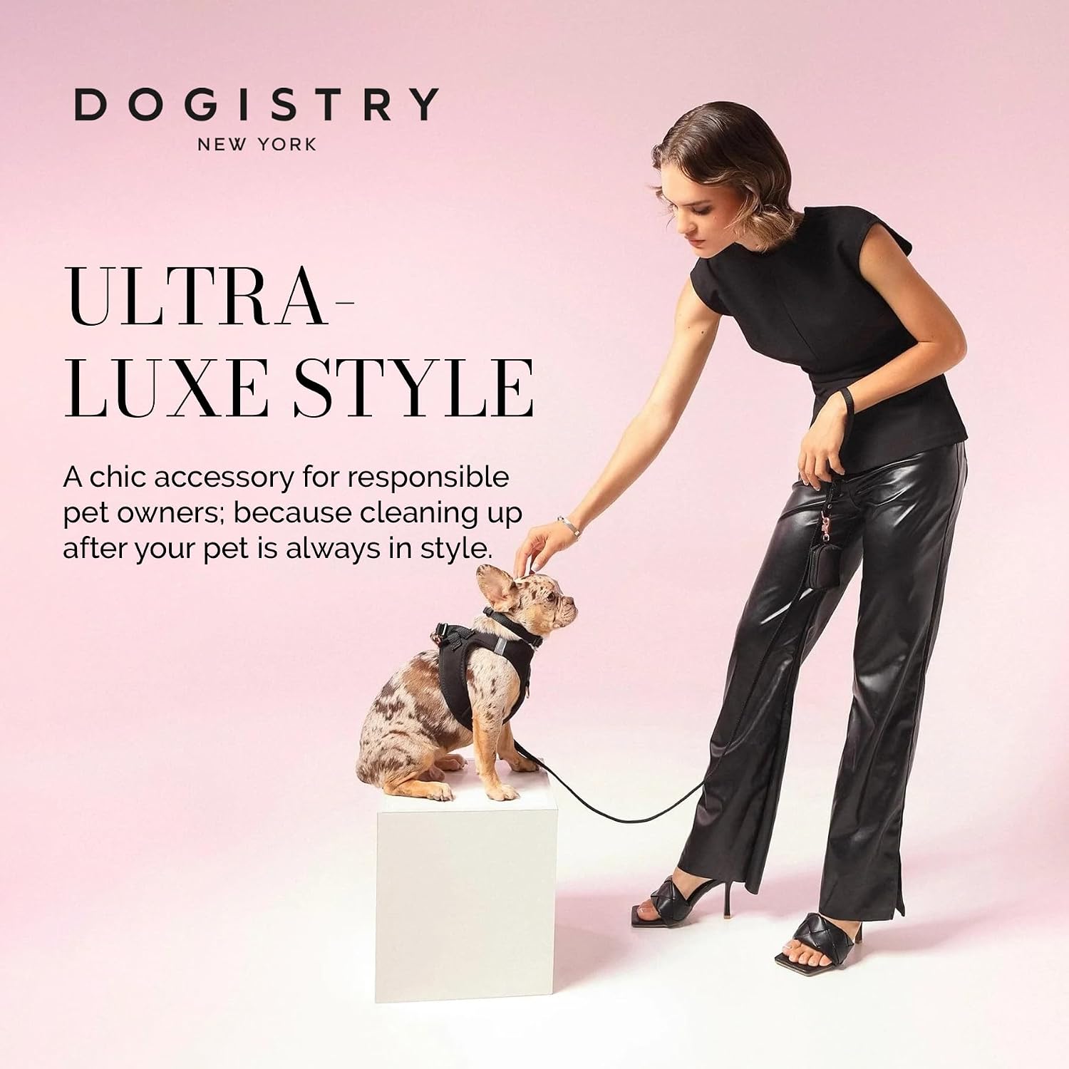 DOGISTRY - Poop Bag Holder - Black - 3" x 2.5" x 2" image 5