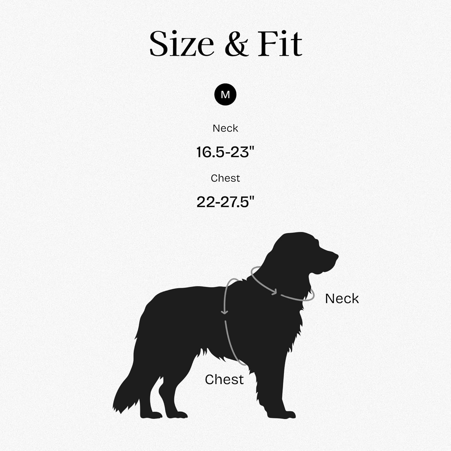 2026 New Edition, Fei & Eve Moxie MagEase H-Shape Dog Harness – Easy On & Off Magnetic Buckle | Heavy-Duty Metal Hardware| No-Pull Control | Lightweight & Breathable| Adjustable Fit |Medium,Light Blue
