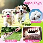 8 Pack de jouets pour chiots de luxe pour les chiens de dents, jouets pour chien avec des jouets pour chiens, des boules et des jouets à croquer pour chien, jouets de chien pour les garder occupés (Pink)