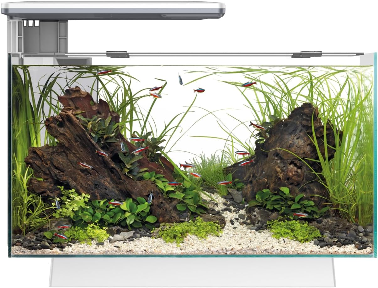 Quadro 40 Multicolour LED White 28 Litre Aquarium Fish Tank