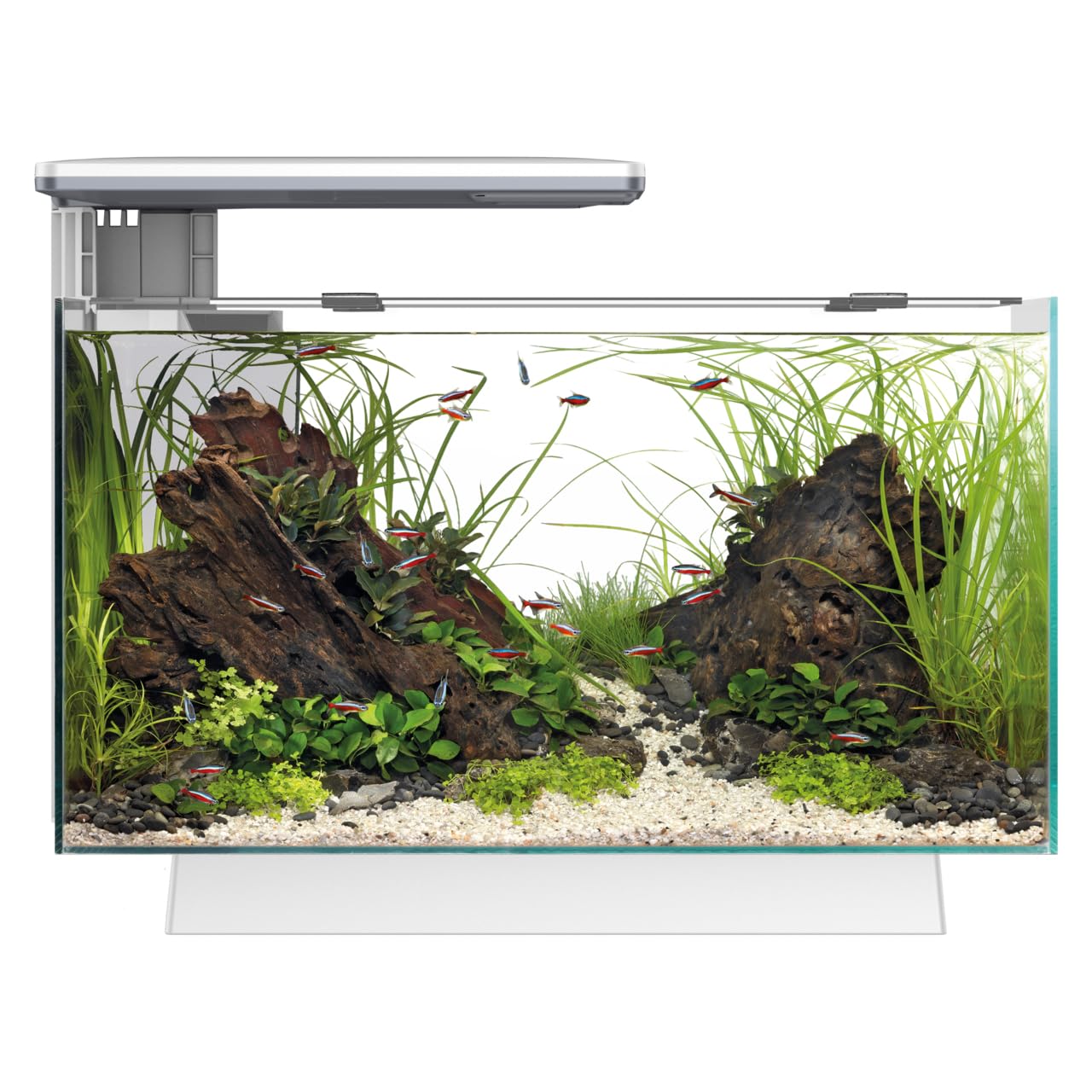 Superfish Quadro 40 Multicolour LED White 28 Litre Aquarium Fish Tank