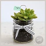 Mother’s Day Gift Ideas