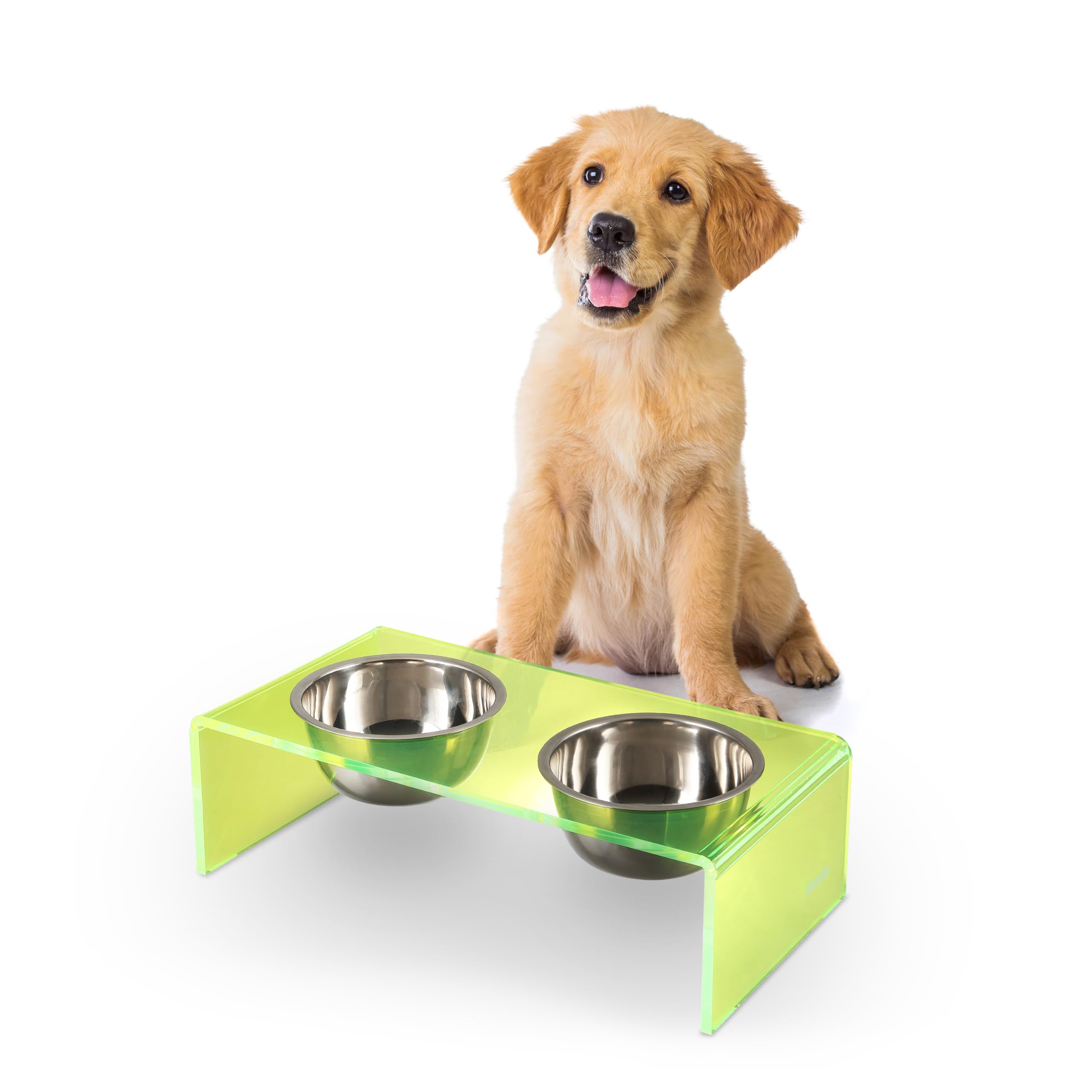 THE LICKER Store DBL2000G Keaton 5" Small/Medium Modern Acrylic Rectangular Elevated Pet Feeder with 20oz 2-Stainless Steel Bowls, Green/Chrome