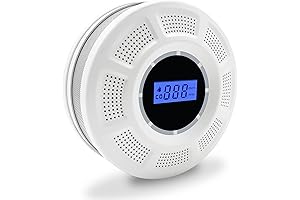 Dual Sensor Smoke and Carbon Detector: Fortress of Home Protection