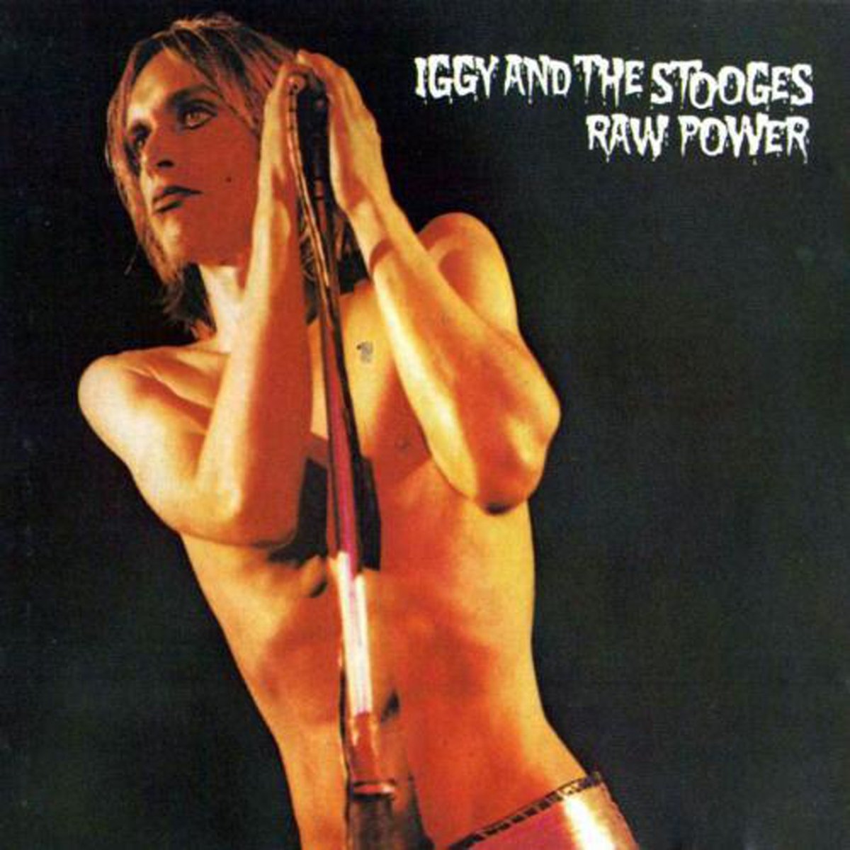 Raw Power [VINYL]