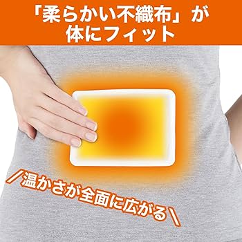 エステー 大容量 貼るダンダン  貼るカイロ  60枚入 5個セット Amazon | ダンダン [大容量] 貼るダンダン カイロ レギュラー 60