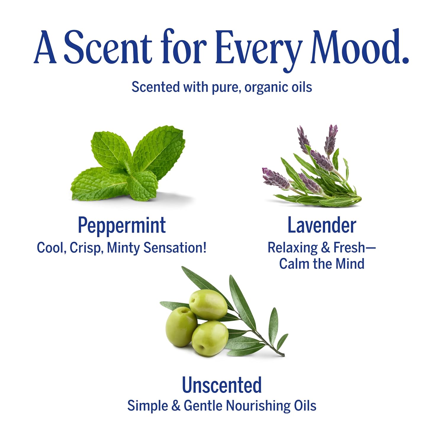 Dr. Bronner's Pure-Castile Magic Bar Soap- Made with Regenerative Organic Certified Oils- For Face, Body, Hair, Vegan Soap Bars for Men & Women- Variety 3-Pack, Peppermint Lavender, Unscented - Image 5