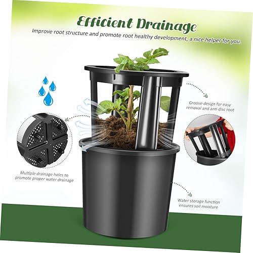 Miniatura 9 de DOITOOL 1 juego de olla de patata bandeja para servir aperitivo, bandeja de cesta de microgreens para brotar vegetales, cubo de patata para cultivo