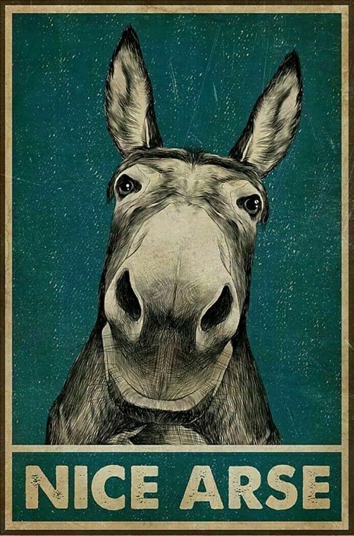 rayprint Tin Sign Metal Painting Donkey Animal Nice Arse For Cafe Bar Pub Home Coffee Beer Garage Kitchen Bathroom Door Garden Retro Fashion Chic Funny 8x12 inch