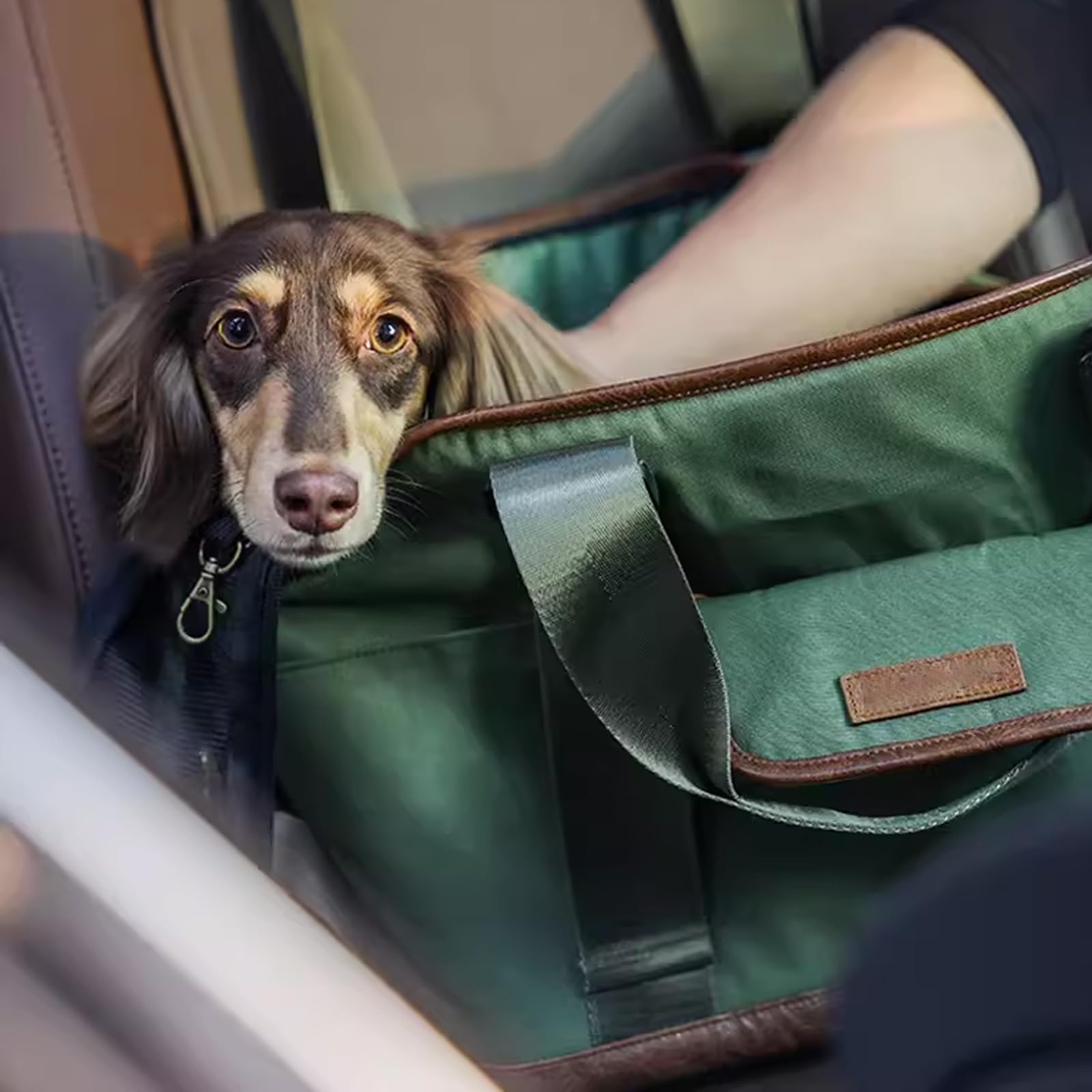 Trasportino per Cani E Gatti, Portatile Borsa Trasportino per Animali Domestici, Traspirante, Rasportino Morbido per Cani E Gatti, per Viaggi, Meno di 5Kg,Blu