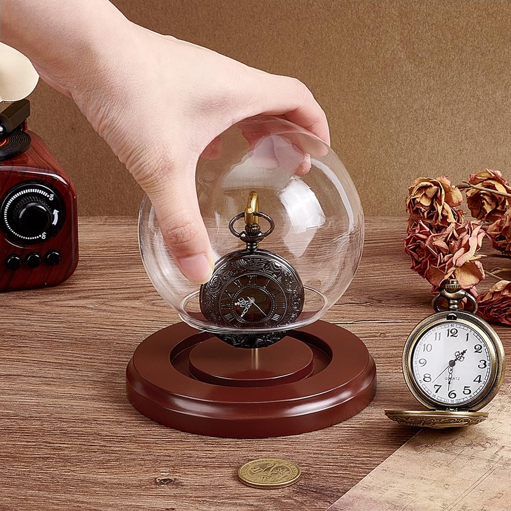 PH PandaHall 9.5x11.3cm Cloche de Présentation pour Montre de Poche, Dôme en Verre avec Base en Bois et Crochet Métallique pour Montres de Poche Médailles Objets Photos Ornements