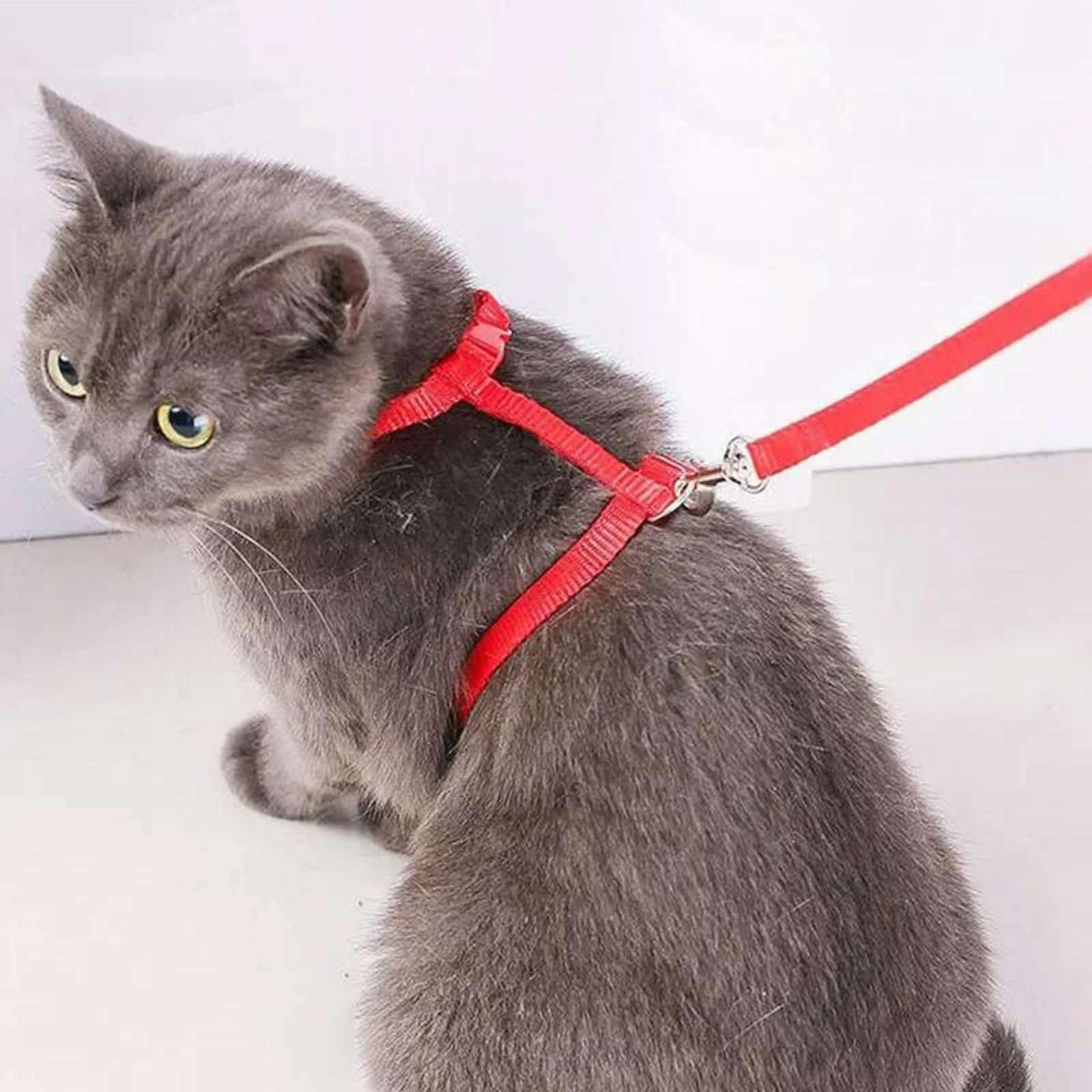 Harnais léger réglable pour Chat et Laisse Ensemble Escape pour Promenade Voyage Petits Animaux Harnais pour Chiot