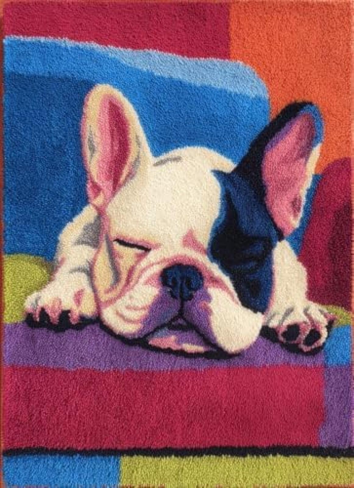 XDEGHUANGSS Latch Hook Rug Kit French Bulldog Puppy Sleeping On Sofa Cushion Cover DIY Craft Set Pre-Printed Mat 38x52cm for Home Decor-4