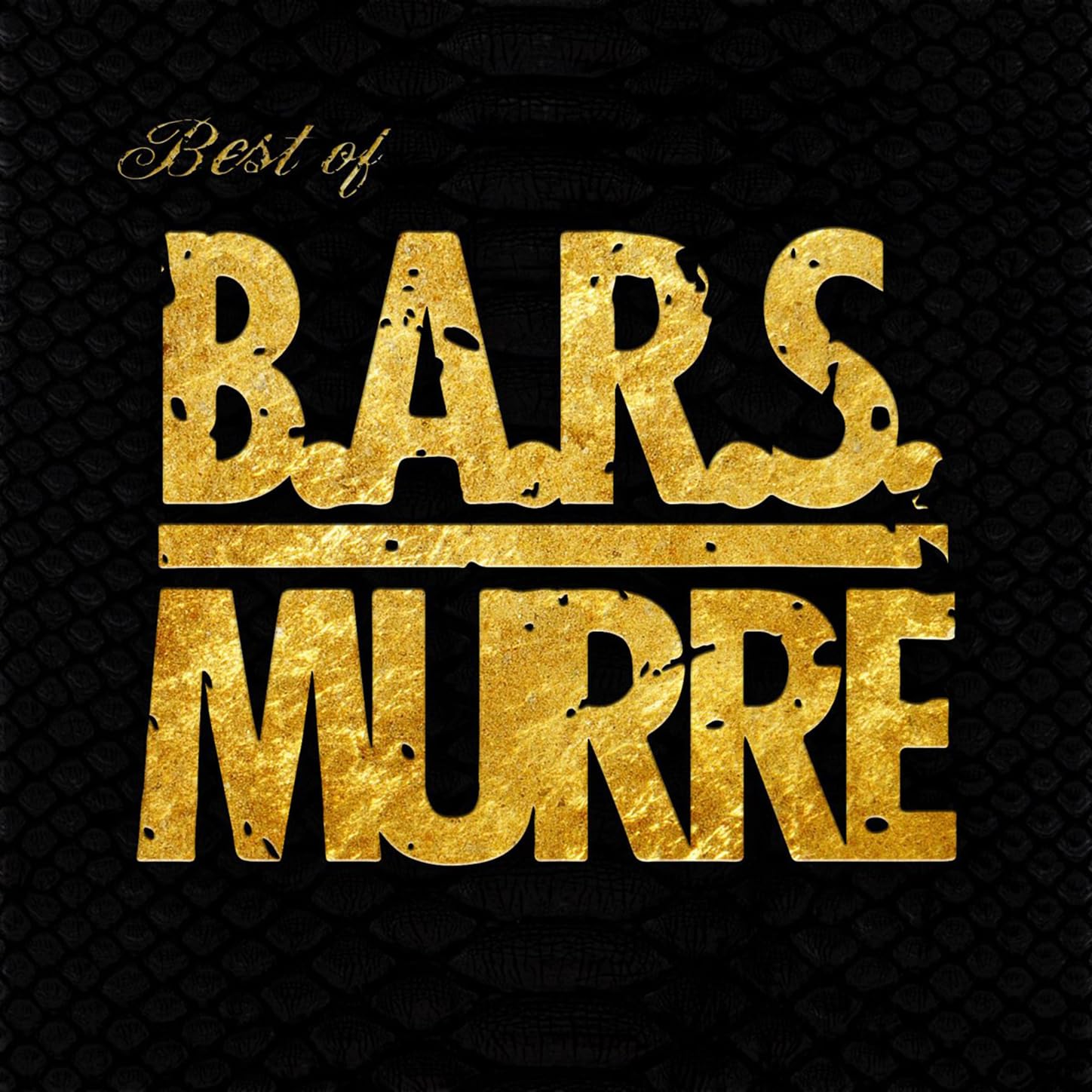 B.A.R.S. Murre