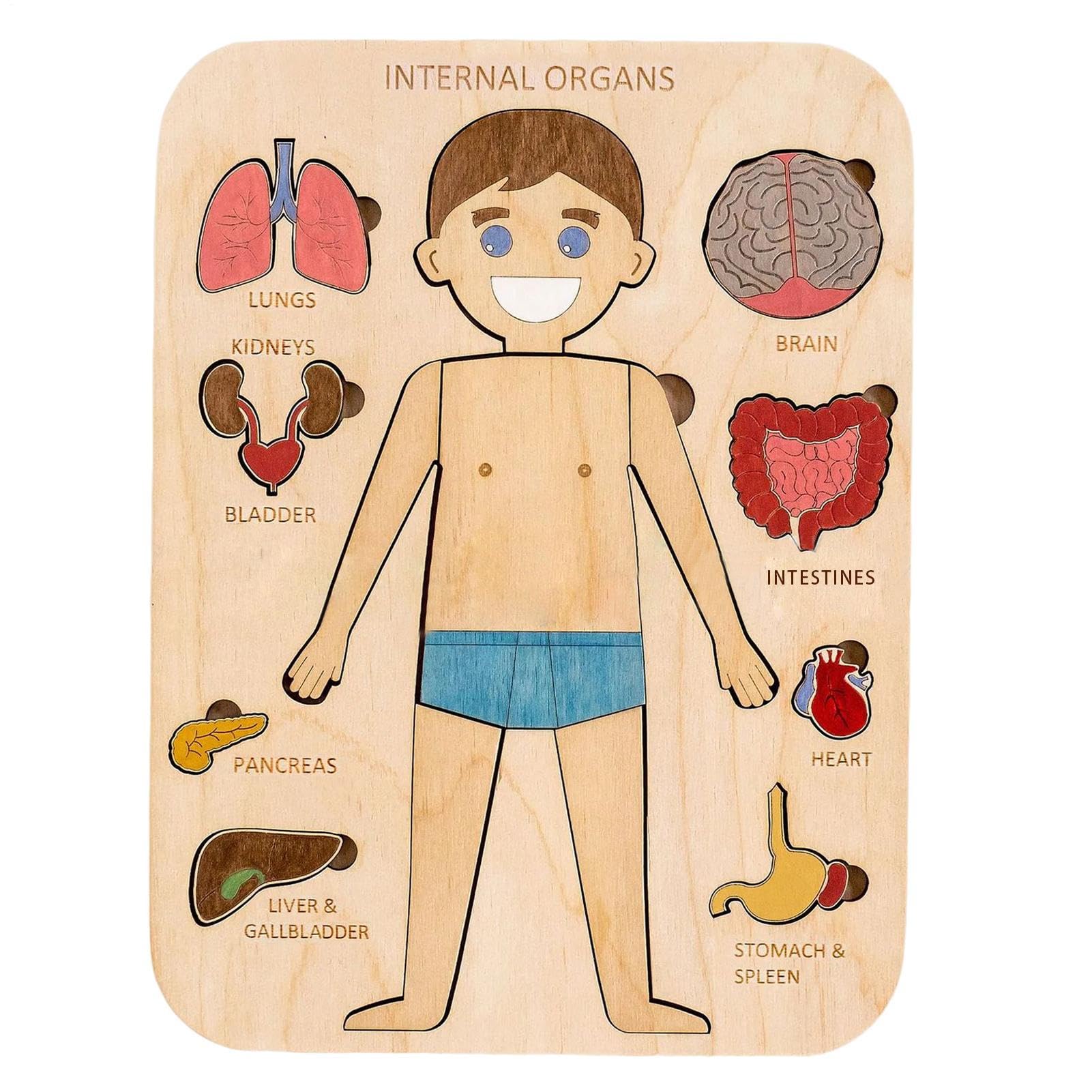 Puzzle du Corps, Puzzle en Bois Structure d'organes du Corps Humain, puz zle d'anatomie pour Les enf Ants de 3 à 5 Ans, Jeu pré-école pour Apprendre Les Parties humaines du co RPS, 29x21,5 cm
