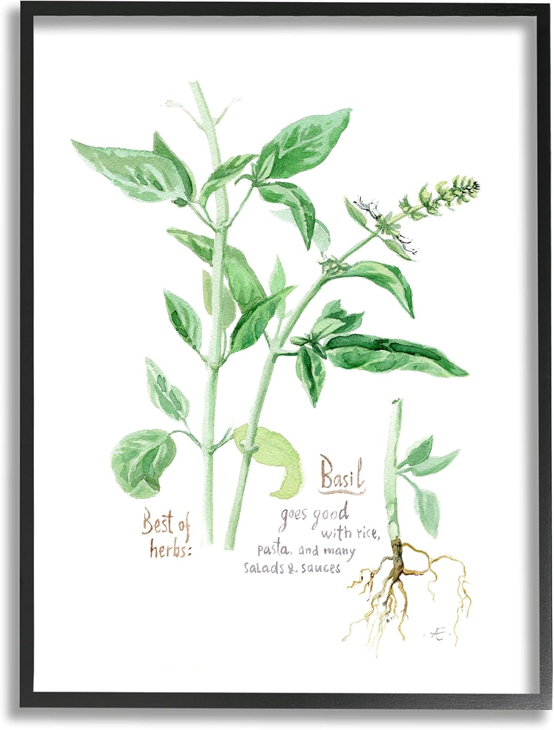 Stupell Industries Basil Plant Best of Herbs Watercolor Garden Greens