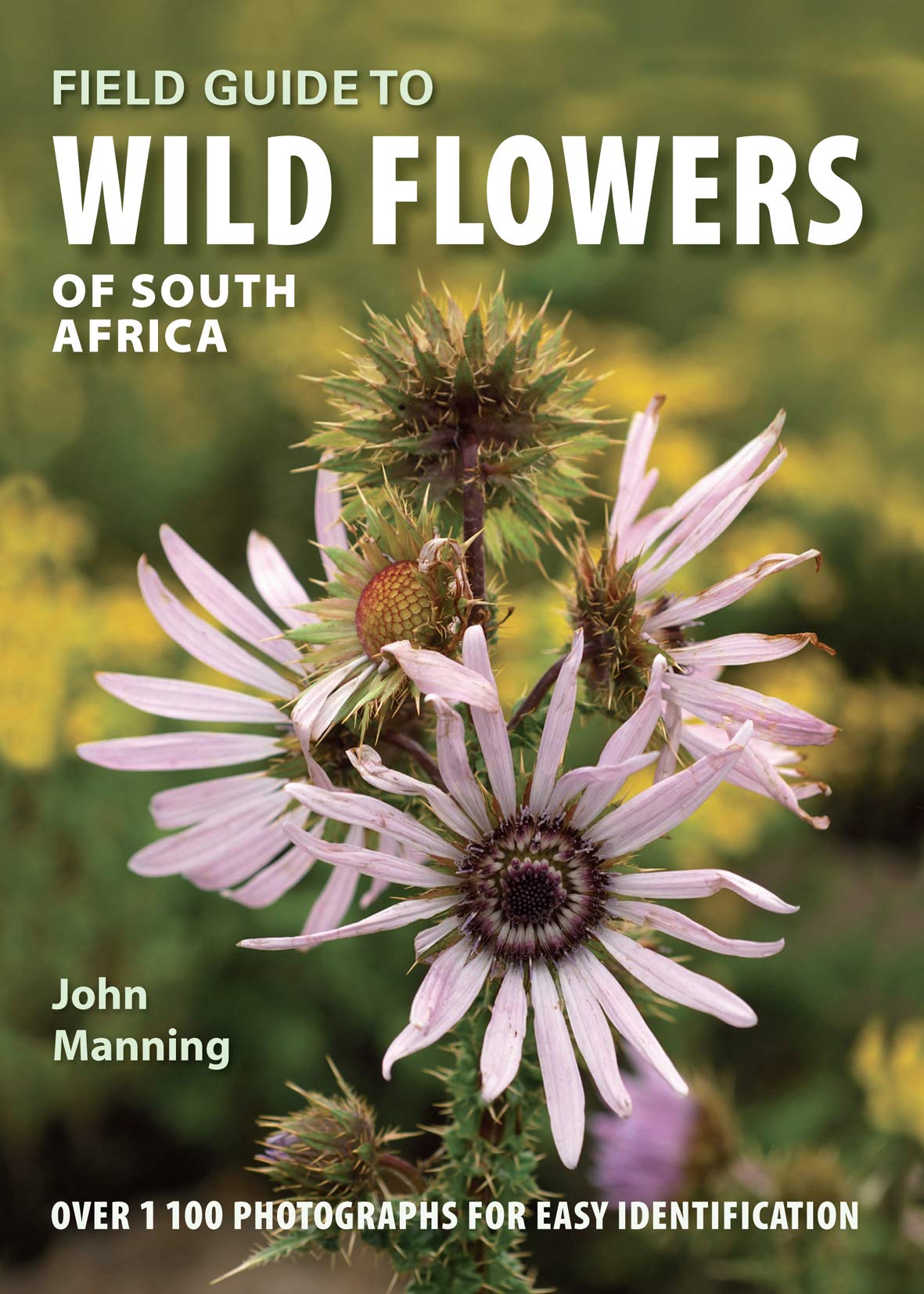 Field Guide to Wild Flowers of South Africa Paperback – Big Book, 1 January 2019