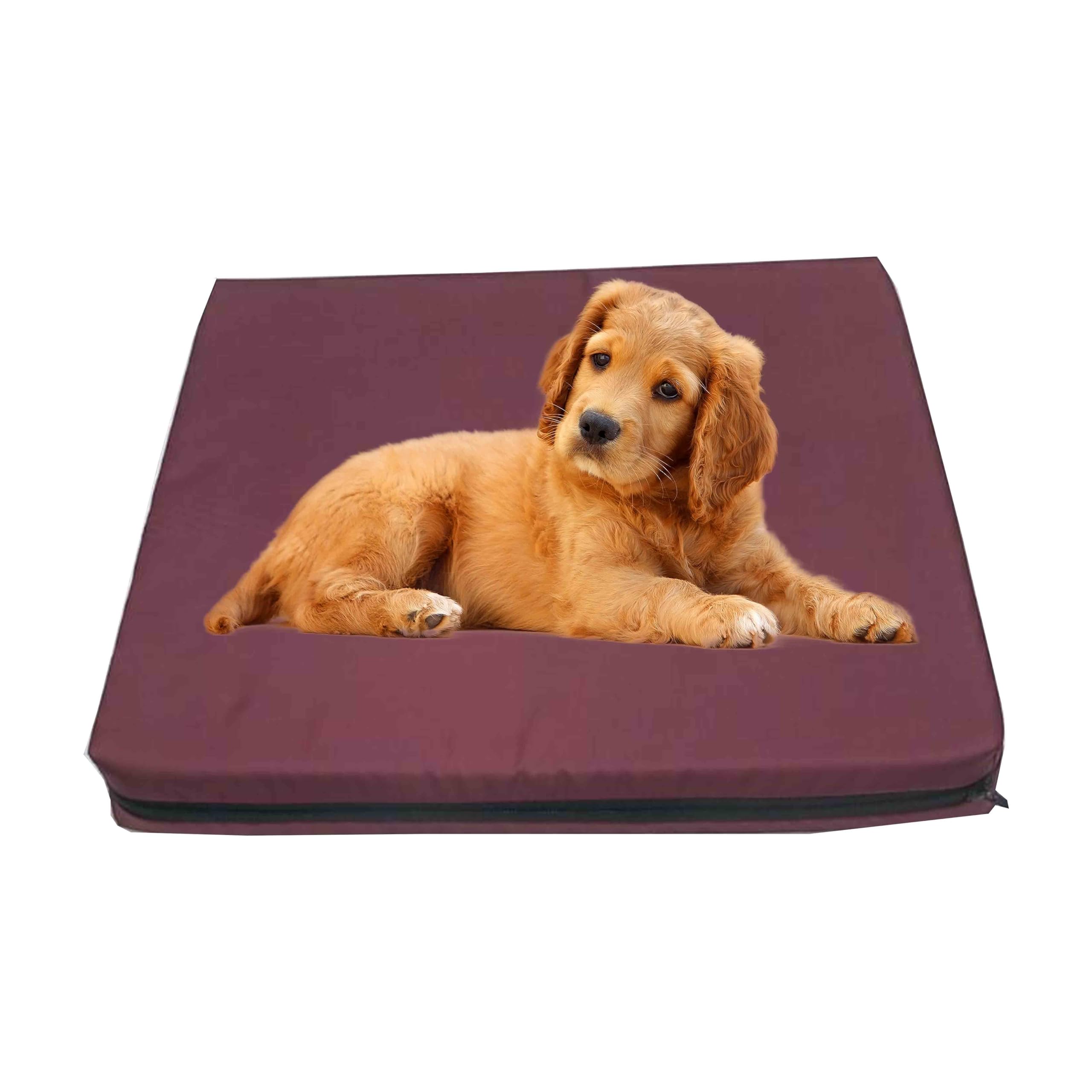 GRIZZLY FOAM Waterproof Dog Bed Cushion and Mattress for Indoor and Outdoor Use with Washable & Removable Zipped Cover and Custom (Burgundy, 90x60x5cm)