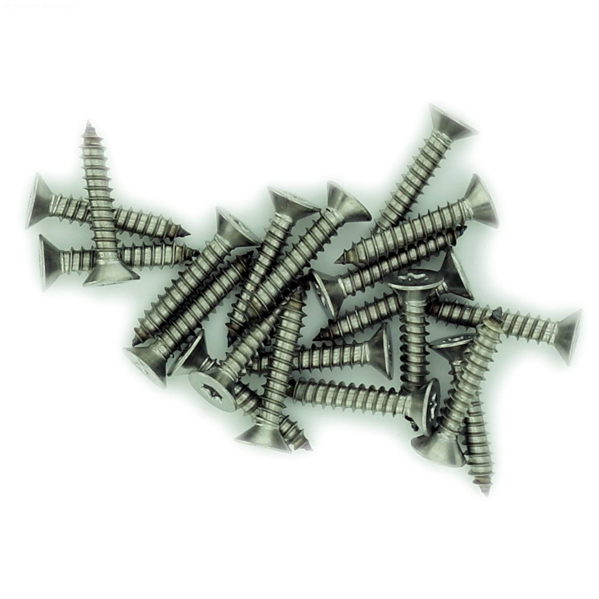 Singularity Supplies Silver No.6 X 0.75 (3.5Mm X 19Mm) Tx Countersunk Self-Tapping Screw - Stainless Steel (A2) (Pack Of 20)