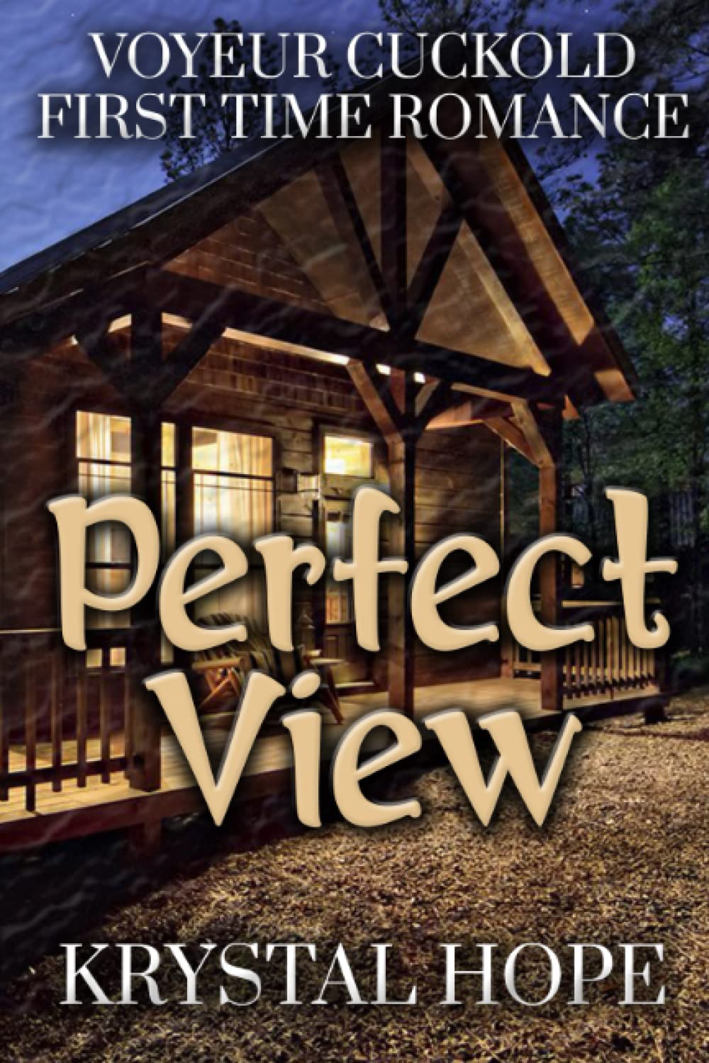 Perfect View: Steamy Short Stories #11