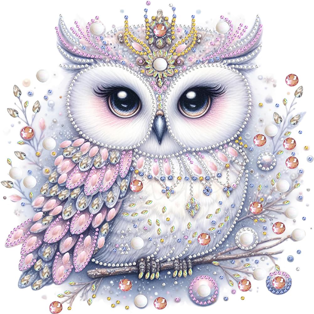 Fiorky Special Shape 5D Diamond Painting Kits for Adults Kids, DIY fortial Special Shaped Drill Diamond Painting Kit Bald Owl Picture Art Craft Home Wall Decor 30 * 30cm