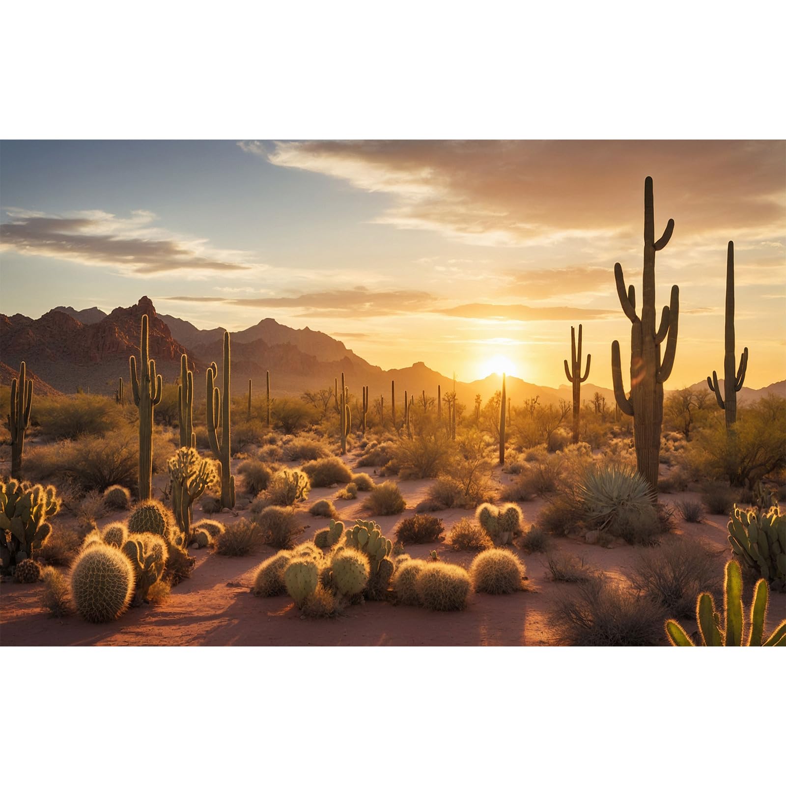 Sunset Desert Reptile Habitat Background Silhouette of Saguaro Cactus Arid Mountain Range Terrarium Background Cacti Sand with Dunes Aquarium Background Desert Mountain Fish Tank Background 36x18in