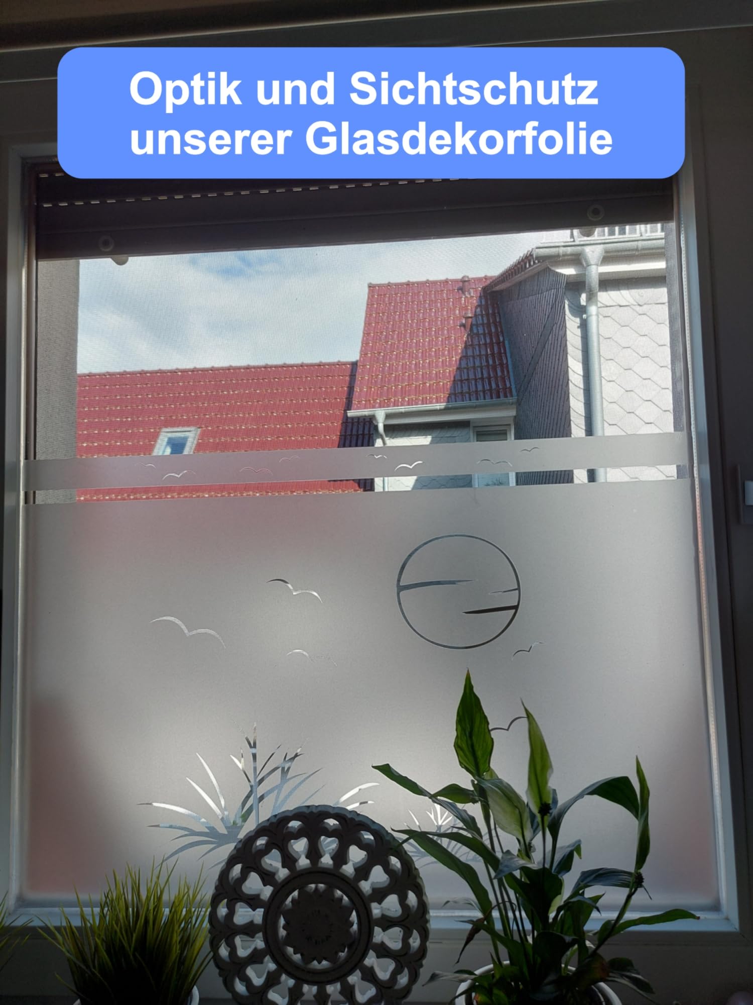 e650 Sichtschutzfolie Glasdekorfolie Bad Fenster Fensterfolie Keine Milchglasfolie # H 80 cm (100cm Breit x 80cm Hoch)