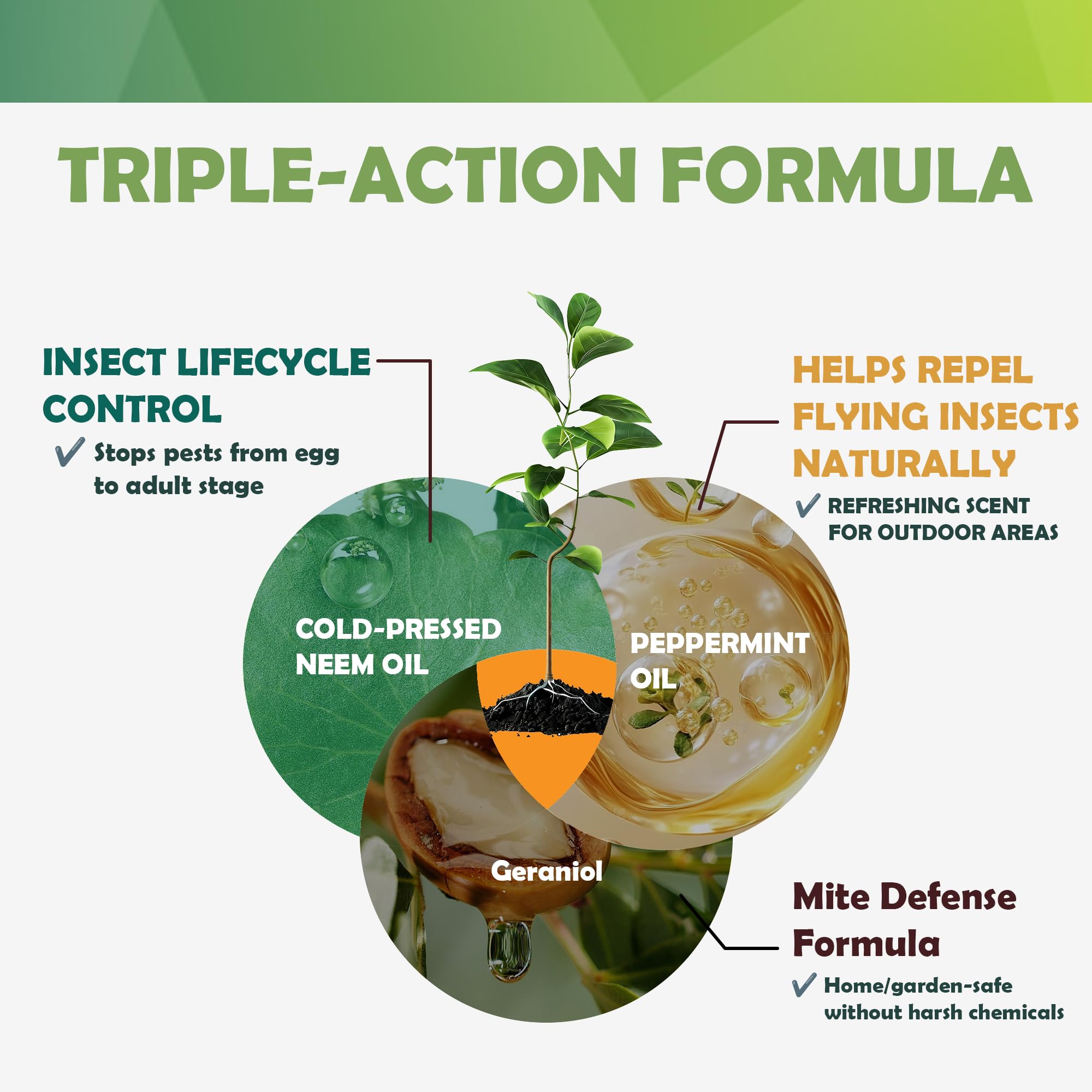 Aerosol de aceite de neem para plantas con menta, mantenimiento suave de hojas para vegetación interior y exterior, 16 onzas 2