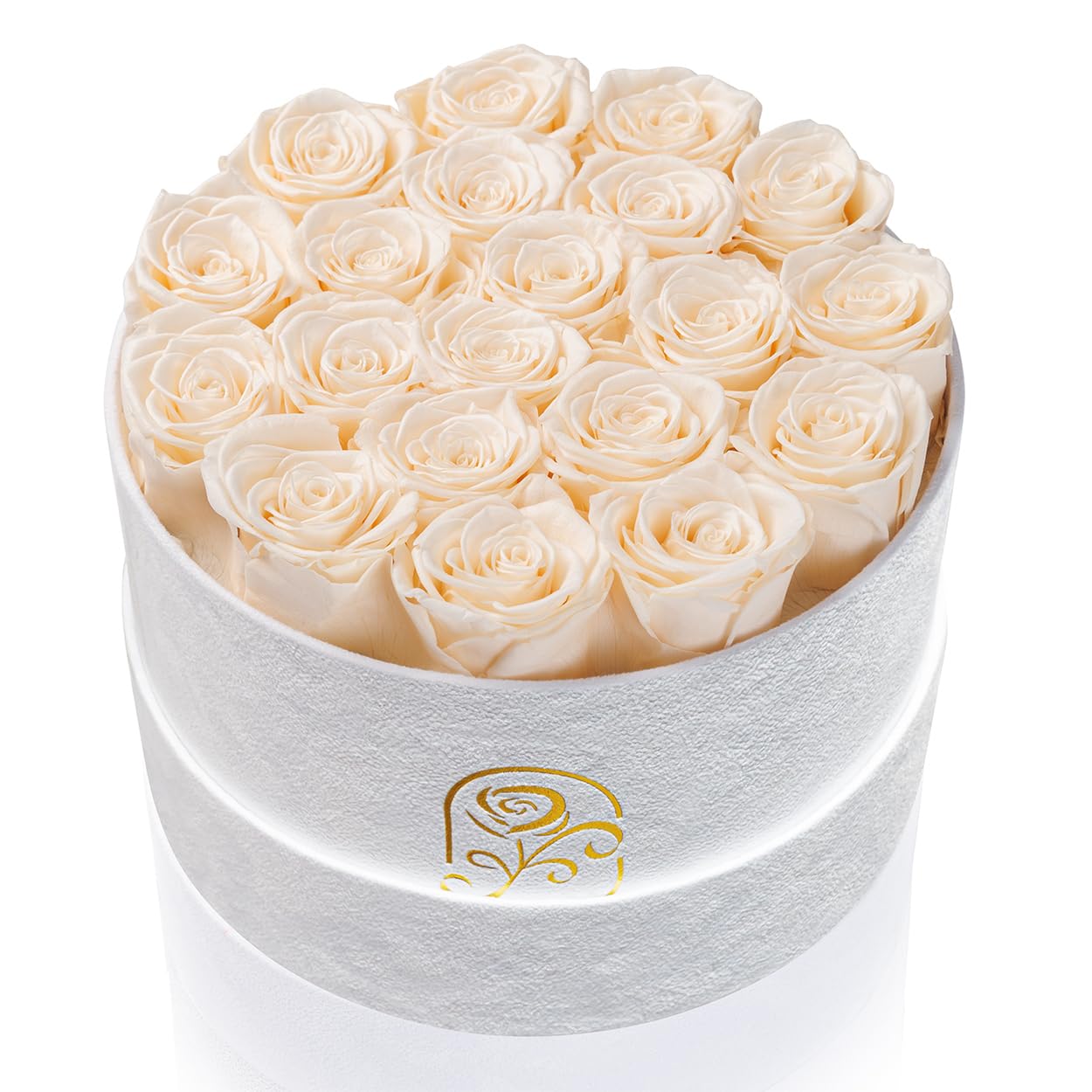 Rosemoir Preserved Roses Velvet Box