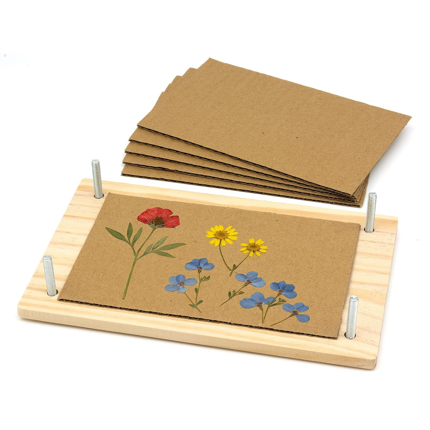 CKB LTD Kit de prensa de flores - Prensa de madera para manualidades y artesanías DIY para adultos, niños, creadores amantes de la naturaleza, prensa para flores, hojas y hierbas en flor, regalo 14.1